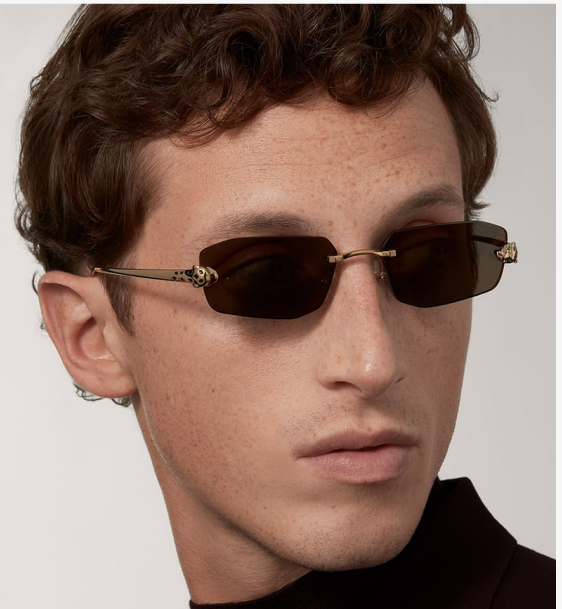 Cartier CT0474S
